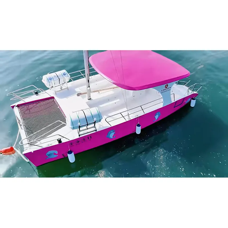 30ft စီးပွားဖြစ် Catamaran